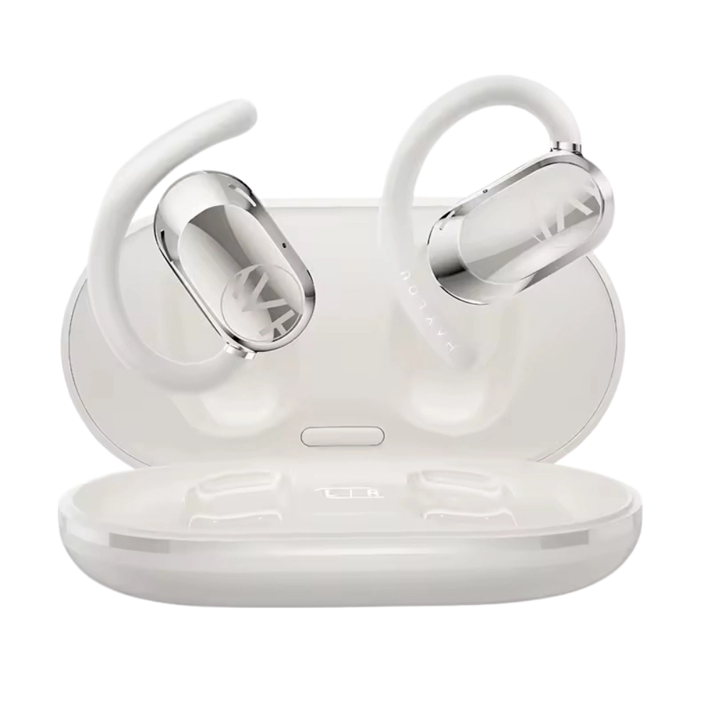 Haylou Airhook 1 Earphones