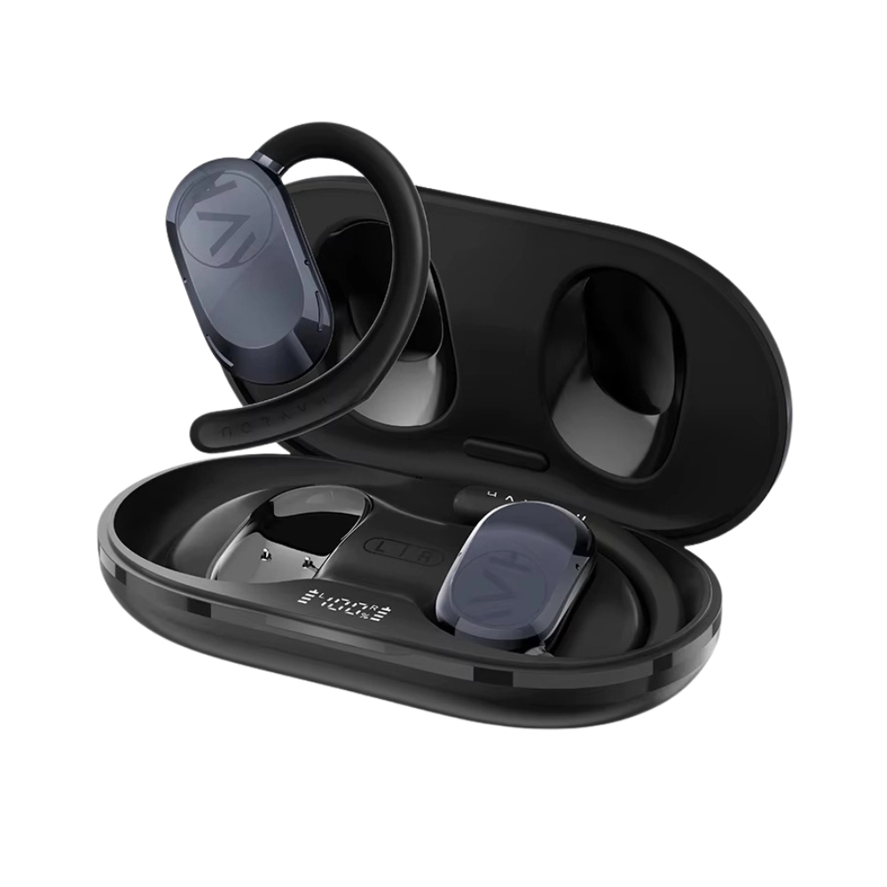 Haylou Airhook 1 Earphones