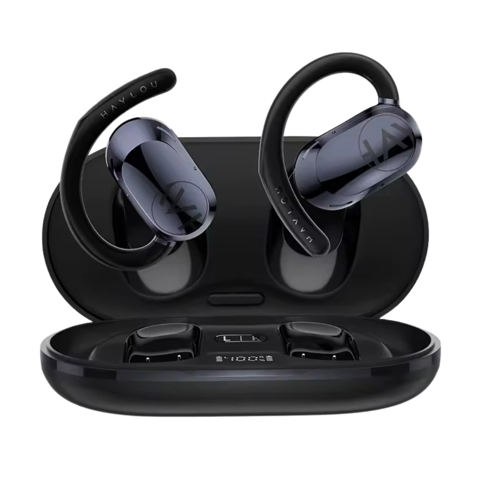 Haylou Airhook 1 Earphones