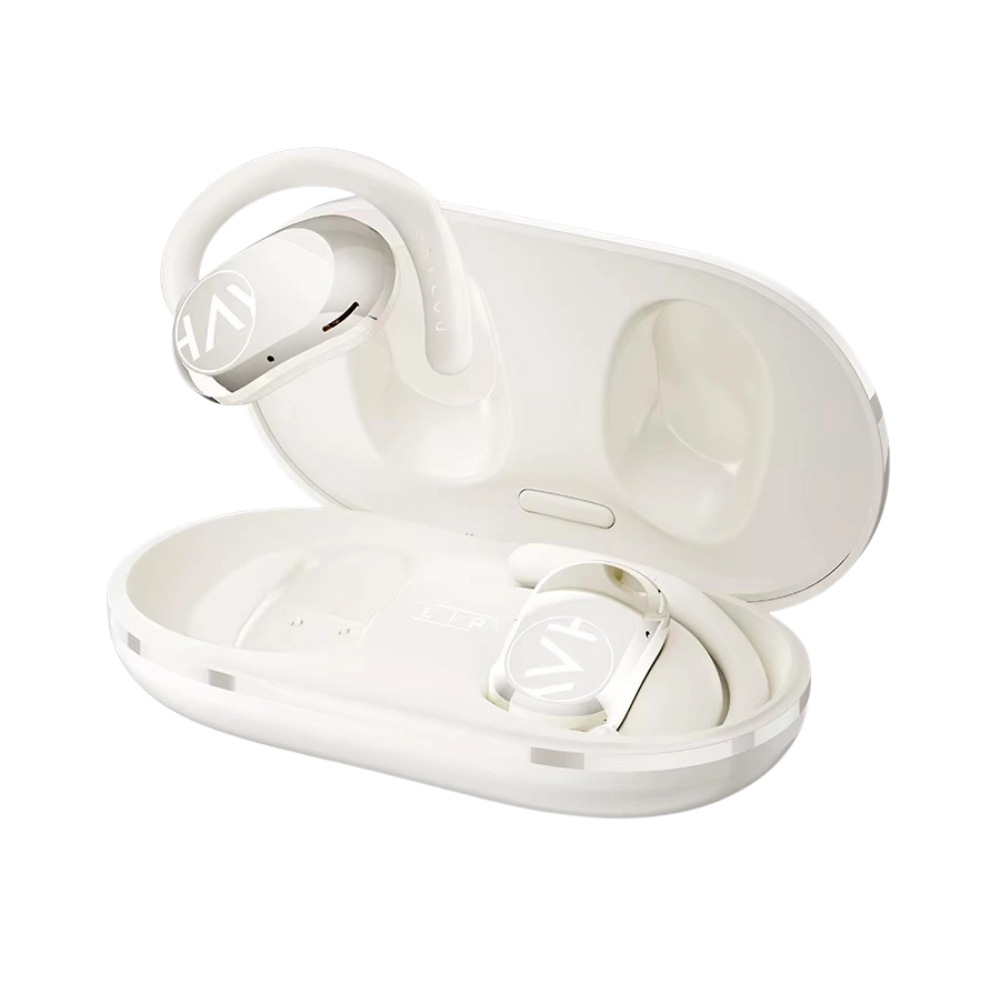 Haylou Airhook 1 Earphones